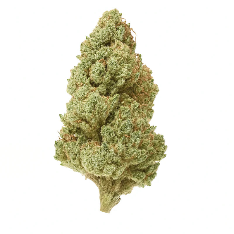 Purple Tangie THCA "Sativa"